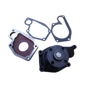 Pompa wody XINCHAI A495BP 495BPG